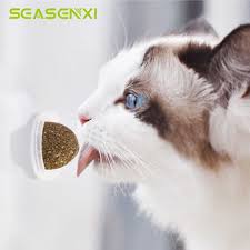 Natural Catnip Toys For Cats Crazy Healthy Cat Toys For Kitten Edible Treating Cleaning Teeth Cat Supplies Pet Toy Pet Products Cat Toys Aliexpress