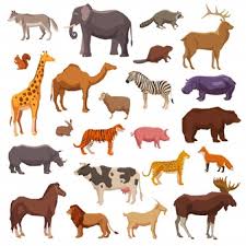 This is tier list png 1. Bilder Tiere Gratis Vektoren Fotos Und Psds