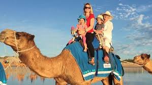 Enjoyed the 1/2 day tour with joey,he was a very like able chap.told us all about broome.great vehicle.one of us took the camel ride,and the other the sunset. Broome Holidays Strangest Thing I Saw On A Camel Ride On The Beach