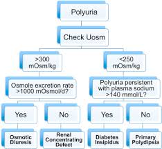 Recurrent Polyuria American Journal Of Kidney Diseases