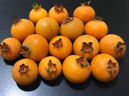 Image result for Dovyalis xanthocarpa