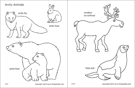 Vector set of different winter hats with animals and geometric pattern. Arctic Polar Animals Free Printable Templates Coloring Pages Firstpalette Com