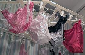 ボード en vue のピン