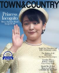 Image result for Jewel Blue 1993 Town and Country