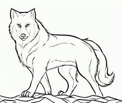 Free printable wolf coloring pages for kids. Wolf Coloring Sheet