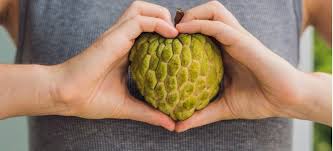 One of the best tasting fruits on the planet. Cherimoya Benefits Nutrition Side Effects And How To Eat Dr Axe