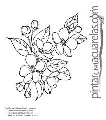 Entdecke rezepte, einrichtungsideen, stilinterpretationen und andere ideen zum ausprobieren. Plantillas Con Dibujos De Flores Para Imprimir Pintar Con Acuarelas