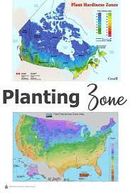 That's usually the range of plant hardiness zones for that species. Find Your Planting Zone Plant Hardiness Depends On This Planting Zones Map Plant Hardiness Zone Map Plant Hardiness Zone