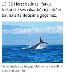 Ilginc Bilgi 2020 Resimli Alintilar Mizah Psikolojik Gercekler