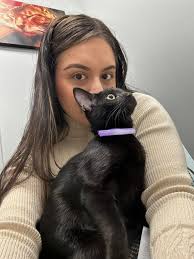 Where to find a kitten for adoption in El Paso, TX?