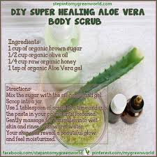 aloe vera is called &quot;silent healer&quot; Pin By Dr Angela Dimartino B H B On Facebook Com Dimartinochiropractic Body Scrub Recipe Diy Body Body Scrub
