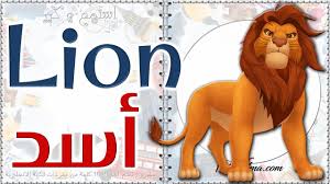 أسماء الحيوانات Animals عربي انجليزي صوت وصورة 1000 كلمة انجليزي Youtube