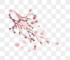 Japanese Cherry Blossom Decoration Illustration Japanese Cherry Blossom Pink Cherry Blossom Beautiful Cherry Blossom Png Transparent Clipart Image And Psd Fi In 2020 Cherry Blossoms Illustration Japanese Cherry Blossom Japanese Cherry