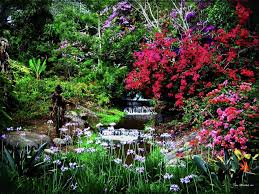 Pin On Gardening In The Tropics