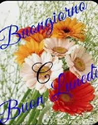 Pin Di Fiorella Cuzziol Su Buongiorno Buongiorno Buon Lunedi Immagini