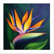 Abstract Bird Of Paradise Watercolor Bird Of Paradise Art Print 30567 In 2020 Birds Of Paradise Flower Paradise Painting Graffiti Flowers