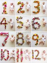 Monthly Baby Photo Ideas Track Your Baby S Age In Photos Monthly Baby Photos Monthly Baby Pictures Baby Month By Month
