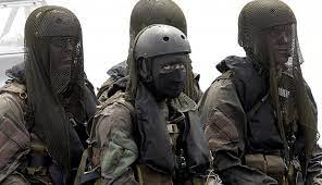 the danish huntsmen corps special forces military special forces frogman