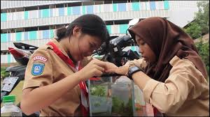 Pendidikan adalah investasi untuk masa depan bangsa. Video Profil Sma Kartini Batam Youtube