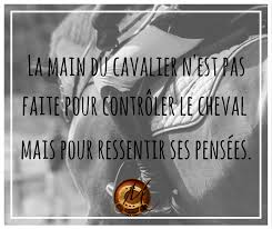 Epingle Sur Citation Equestre