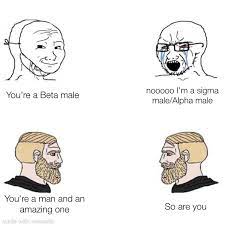 Can we stop with all this 'Beta Male' and 'Sigma Male' nonsense : r/memes