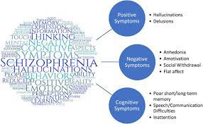Schizophrenia is characterized by distortions in thinking, perception, emotions, language, sense of self and behaviour. An Integrative And Mechanistic Model Of Impaired Belief Updating In Schizophrenia Journal Of Neuroscience