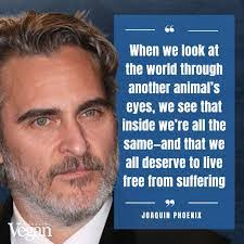 Candy Mansfield's Instagram, Twitter & Facebook