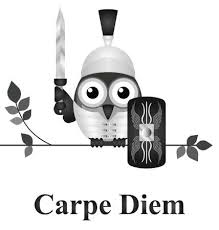 Monochrome Latine Devis Si Vis Pacem Para Bellum Par Vegece Traduit Comme Si Tu Veux La Paix Prepare La Guerre Isole Sur Fond Blanc Clip Art Libres De Droits Vecteurs Et