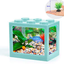 Water quality is very important. Small Fish Tank Mini Betta Fish Tank Stackable Cube Tank With Fish Tank Decor Ant Feeding Case Mini Reptile Row Box Green Amazon Co Uk Pet Supplies