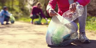 We did not find results for: How Can Expatriates Help In Protecting The Environment