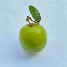 Bagi anda yang sudah terjangkit diabetes juga bisa mencoba daun ini sebagai obat alami. Indianjujube Hashtag On Twitter