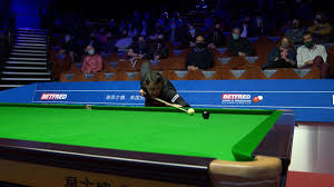 Draw, schedule, results and order of play at the crucible ronnie o'sullivan is set to defend his title at the world snooker championship,. World Championship 2021 Ronnie O Sullivan On Nightmare Fan Harassed Like You Wouldn T Believe Eurosport