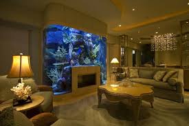 Aquarium Ideen Abgerundet Design Kamin Idee Korallen Wohnzimmer Aquarium Ideen Aquarium Design