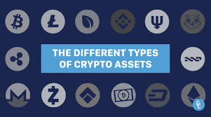 Some have gone ahead to make a mark in the budding crypto space, while others have had underwhelming and short stints in the market. The Different Types Of Crypto Assets By Coincontrol Coincontrolblog Medium