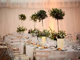 Love This For The Olive Tree Topiary Centerpieces Tree Wedding Centerpieces Tree Centrepiece Wedding Wedding Tree Decorations