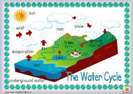 Here S A Simple Labeled Picture Of The Water Cycle Water Cycle Kindergarten Activities Preschool Education
