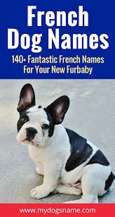 100+ unique dog names for every kind of pup. Beautiful French Dog Names 211 Fantastic Name Ideas French Dogs French Dog Names French Bulldog Breeders