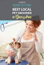 Hundreds of thousands of dog lovers trust rover. How To Find Local Dog Groomers In Your Area And How To Pick Them