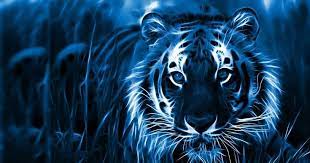 Terbaru 25 Wallpaper Anime Keren Laptop 1080p Laptop Wallpapers 57 Images From Getwall Desktop Wallpapers Backgrounds Beautiful Wallpaper Hd Laptop Wallpaper