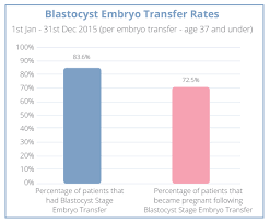 blastocyst transfer london blastocyst embryo transfer london