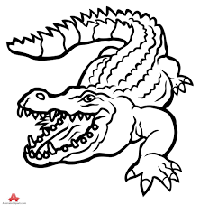 Pin Von Luke Auf The Art Of Self Promotion Crocodile Illustrations Research Krokodil Malen Krokodil Zeichnen Zeichenvorlagen