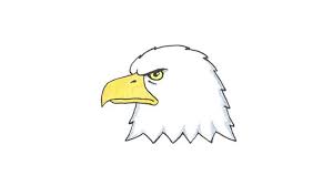 How to draw a eagle for kids | eagle drawing lesson step by step. How To Draw A Bald Eagle Head My How To Draw