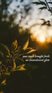 Evermore wallpaper background 🍂 willow. Evermore Wallpaper Ivy Taylor Swift Lyrics Taylor Swift Quotes Taylor Swift Wallpaper