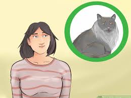 Norwegian forest cat is an unpretentious fluffy animal that can survive in the harshest climatic conditions. 3 Ways To Identify A Norwegian Forest Cat Wikihow Pet