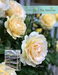 We did not find results for: 2021 Nursery Catalogue By Pan American Nursery Issuu