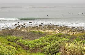 Maybe you would like to learn more about one of these? Nicholas Canyon County Beach Photograph By Ricky Barnard
