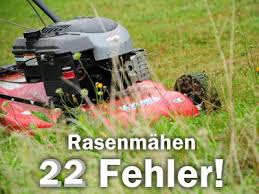 Zählen sie zu den glücklichen gartenbesitzern? Rasenmahen Die 22 Hasslichsten Fehler Beim Rasenschnitt