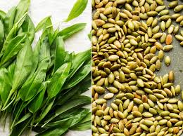 The wild cat is gone but there are plans to restore the chequered skipper butterfly. Vegan Wild Garlic Pesto Lazy Cat Kitchen