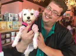 To keep the beloved pet healthy and retain the white charm, it is essential to know how to remove stains from white dog fur. Dog Nearly Dies From Severe Burns Caused By Human Hair Dye