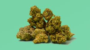 Maybe you would like to learn more about one of these? The Best Strains Of All Time According To Experts